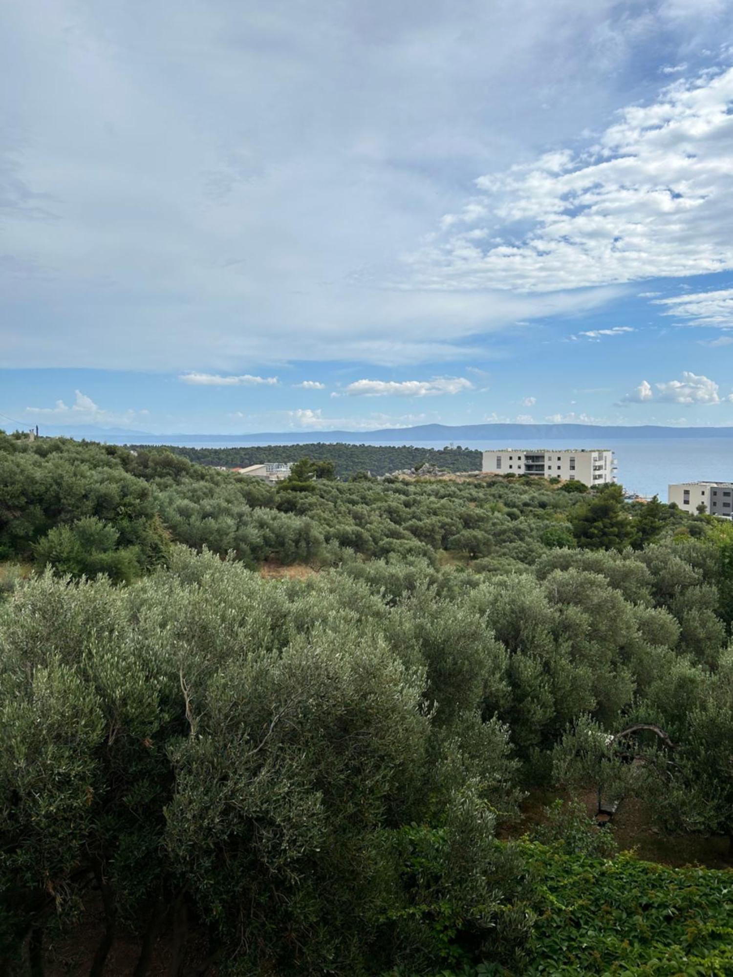 Apartment Mileta Makarska Exterior photo